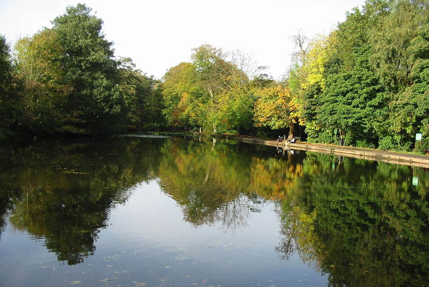 Forge Dam in the Peak District