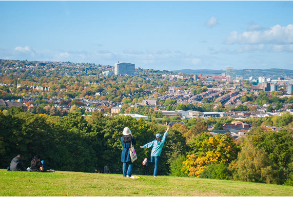 The view from Meersbrook park
