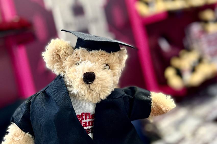 Graduation Bear