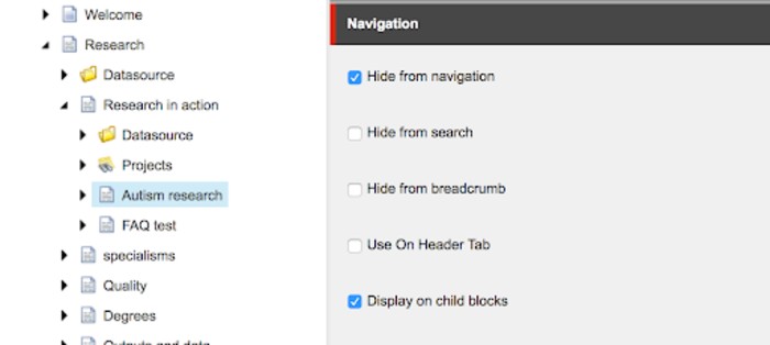 Screenshot of hiding an page from the tertiary navigation