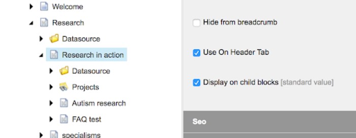 How to add a secondary navigation by checking the 'use on header tab' option in the content editor in Sitecore