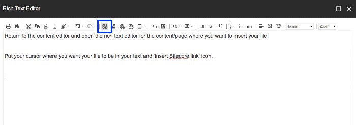 The 'insert Sitecore link' highlighted in the 'rich text editor' 