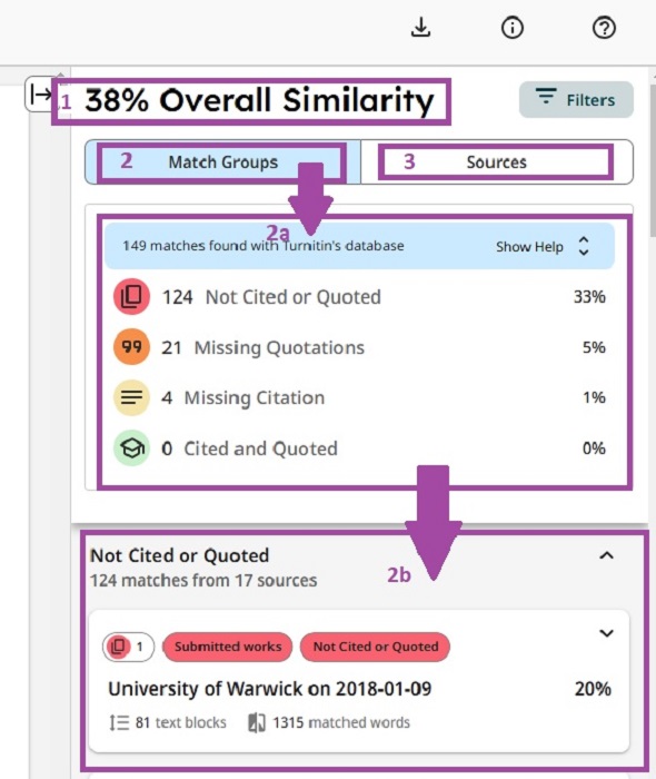 Student view of overall similarity results