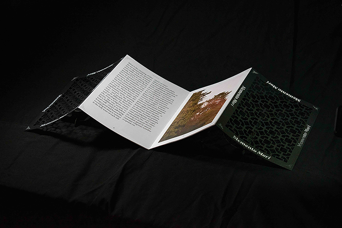 A publication design created by Will Riley, which uses an accordion style fold.