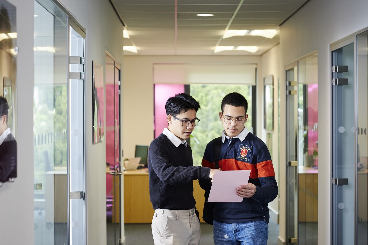 Students working on campus