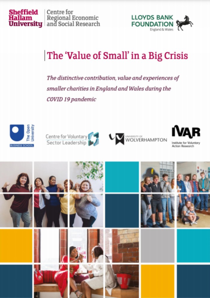 the-value-of-small-in-a-big-crisis-the-distinctive-contribution